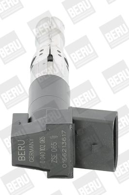 BorgWarner (BERU) ZSE065 Ignition Coil
