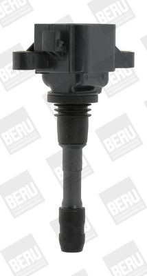 Ignition Coil BorgWarner (BERU) ZSE066