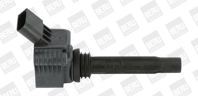 Ignition Coil BorgWarner (BERU) ZSE067