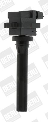 BorgWarner (BERU) ZSE072 Ignition Coil