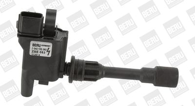 Ignition Coil BorgWarner (BERU) ZSE083