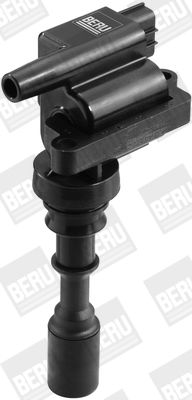 BorgWarner (BERU) ZSE086 Ignition Coil