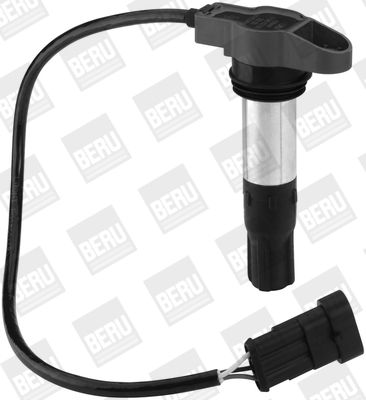 Ignition Coil BorgWarner (BERU) ZSE130