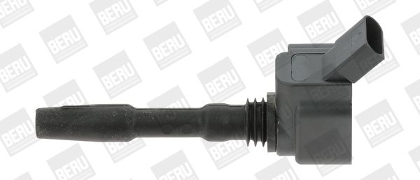 BorgWarner (BERU) ZSE137 Ignition Coil