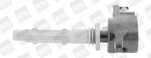 BorgWarner (BERU) ZSE140 Ignition Coil