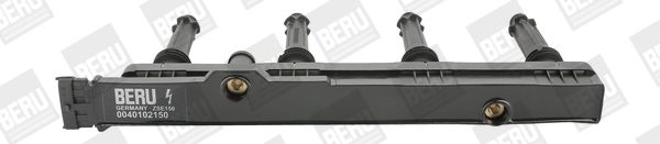 BorgWarner (BERU) ZSE150 Ignition Coil
