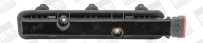 Ignition Coil BorgWarner (BERU) ZSE152