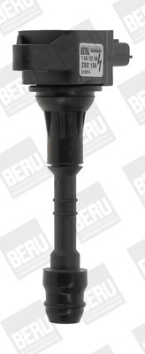 Ignition Coil BorgWarner (BERU) ZSE156