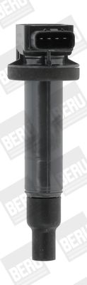 BorgWarner (BERU) ZSE165 Ignition Coil