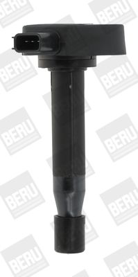 BorgWarner (BERU) ZSE166 Ignition Coil