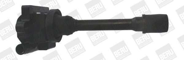 BorgWarner (BERU) ZSE179 Ignition Coil