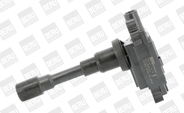 BorgWarner (BERU) ZSE181 Ignition Coil