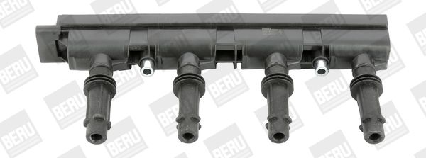 BorgWarner (BERU) ZSE185 Ignition Coil