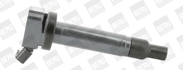 BorgWarner (BERU) ZSE187 Ignition Coil