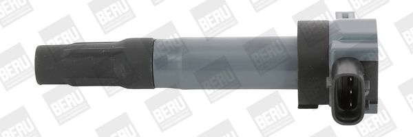 BorgWarner (BERU) ZSE189 Ignition Coil