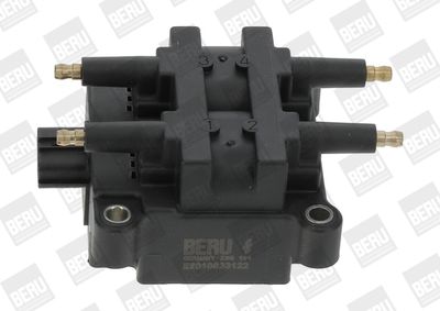 Ignition Coil BorgWarner (BERU) ZSE191