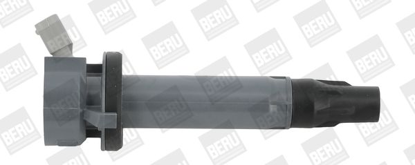 BorgWarner (BERU) ZSE194 Ignition Coil