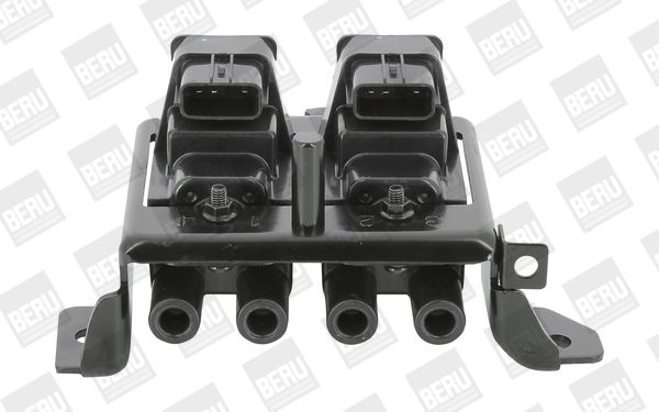 BorgWarner (BERU) ZSE195 Ignition Coil