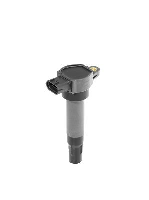 BorgWarner (BERU) ZSE200 Ignition Coil