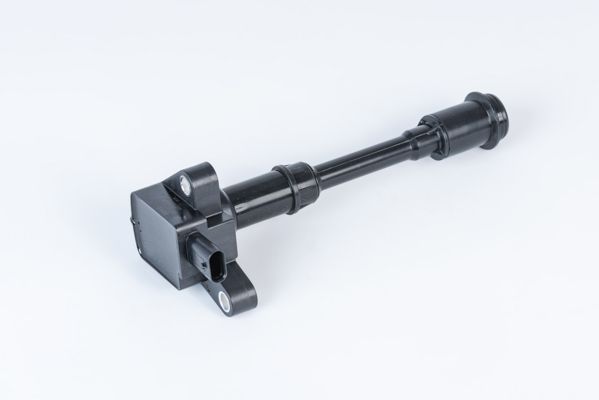 BorgWarner (BERU) ZSE203 Ignition Coil