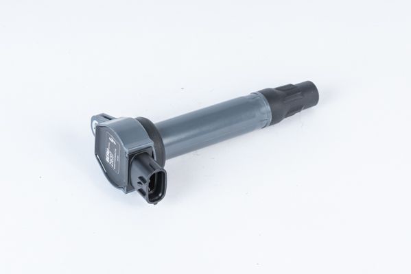 BorgWarner (BERU) ZSE207 Ignition Coil