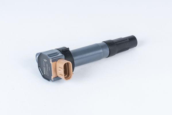 BorgWarner (BERU) ZSE211 Ignition Coil