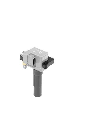 Ignition Coil BorgWarner (BERU) ZSE213