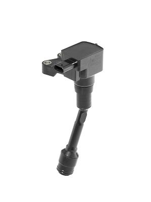 BorgWarner (BERU) ZSE215 Ignition Coil