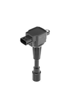 BorgWarner (BERU) ZSE216 Ignition Coil