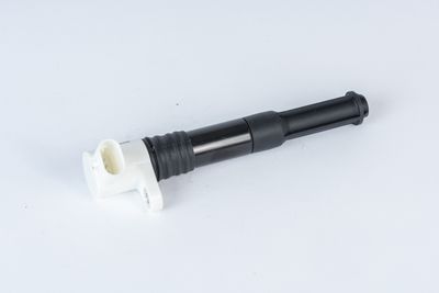 Ignition Coil BorgWarner (BERU) ZSE219