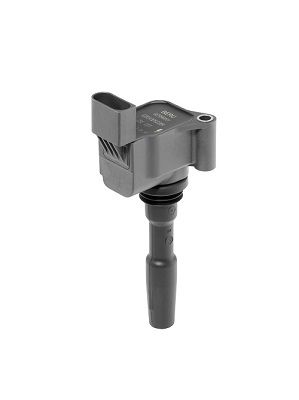 BorgWarner (BERU) ZSE223 Ignition Coil