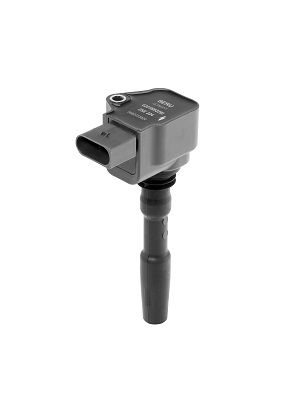 Ignition Coil BorgWarner (BERU) ZSE224