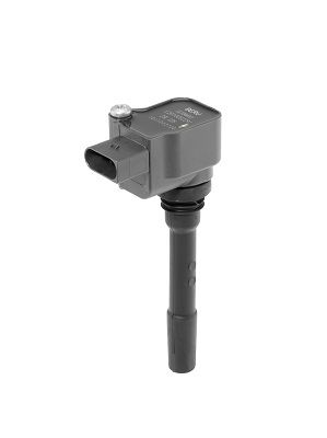 Ignition Coil BorgWarner (BERU) ZSE225
