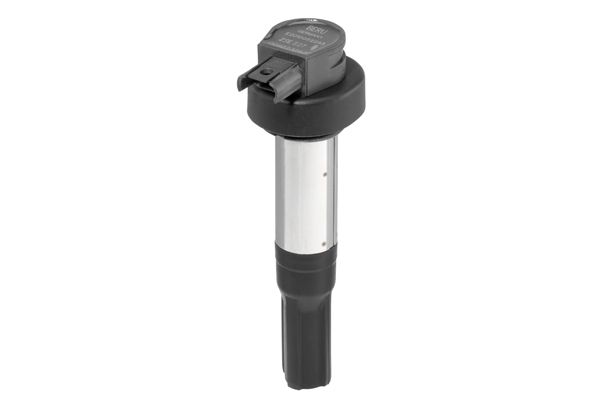 BorgWarner (BERU) ZSE227 Ignition Coil