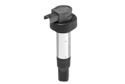 Ignition Coil BorgWarner (BERU) ZSE228