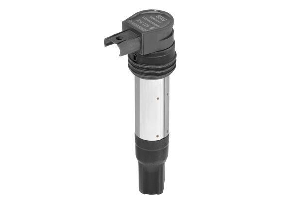 BorgWarner (BERU) ZSE229 Ignition Coil