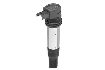 Ignition Coil BorgWarner (BERU) ZSE229