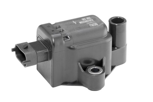 BorgWarner (BERU) ZSE230 Ignition Coil