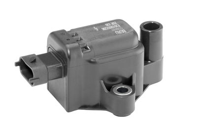 Ignition Coil BorgWarner (BERU) ZSE230
