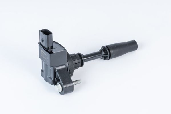 BorgWarner (BERU) ZSE234 Ignition Coil