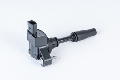 Ignition Coil BorgWarner (BERU) ZSE234