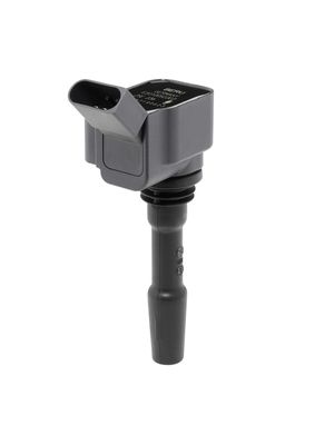 Ignition Coil BorgWarner (BERU) ZSE236