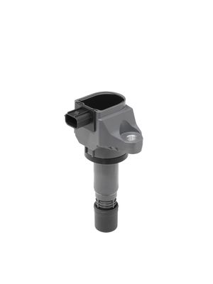 Ignition Coil BorgWarner (BERU) ZSE240