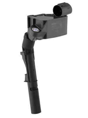 Ignition Coil BorgWarner (BERU) ZSE243