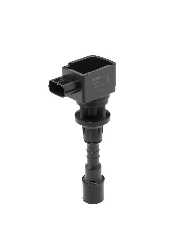 BorgWarner (BERU) ZSE244 Ignition Coil