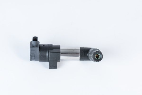 BorgWarner (BERU) ZSE253 Ignition Coil