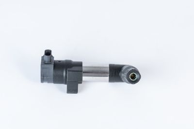 Ignition Coil BorgWarner (BERU) ZSE253