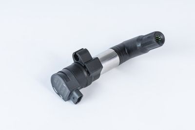 Ignition Coil BorgWarner (BERU) ZSE254