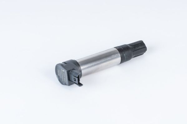 BorgWarner (BERU) ZSE255 Ignition Coil