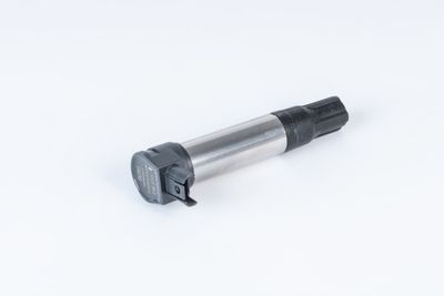 Ignition Coil BorgWarner (BERU) ZSE255